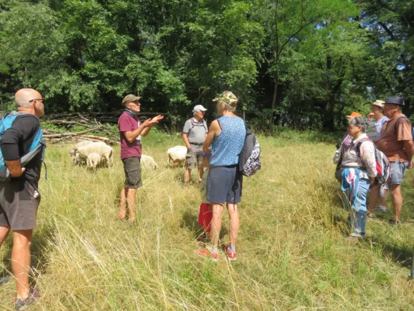 Balade aux Montboucons agricoles - 5 juillet 2023