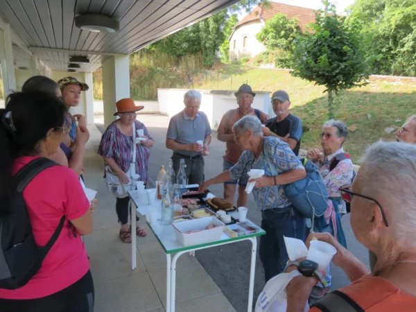 Balade aux Montboucons agricoles - 5 juillet 2023