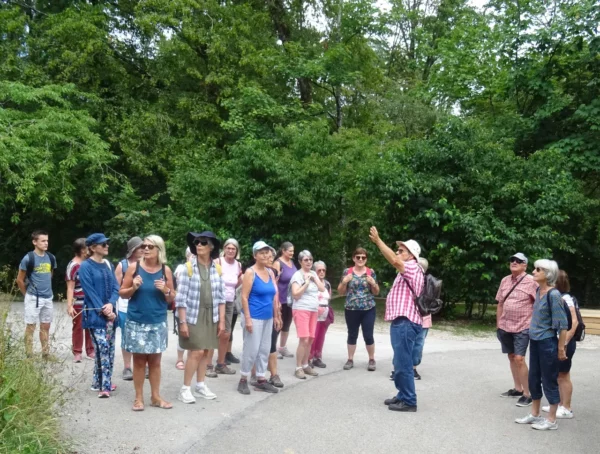 Tilleroyes, nature et établissements sociaux - 17 juillet 2023