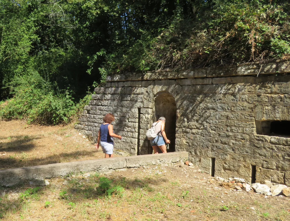 Balade Juniors aux Tilleroyes  . Jeudi 10 juillet 2025