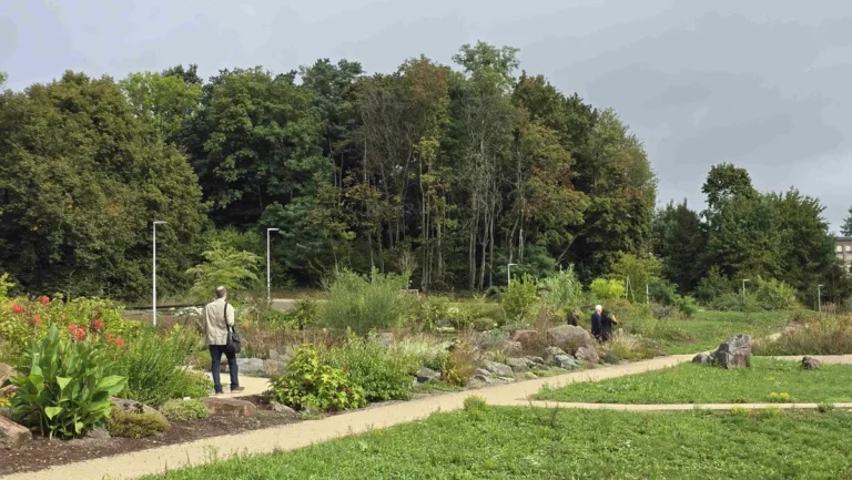Jeudi 13 août  : Florilège des jardins