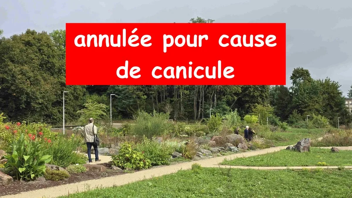 ATTENTION : balade annulée pour cause de canicule Jeudi 13 août  : Florilège des jardins