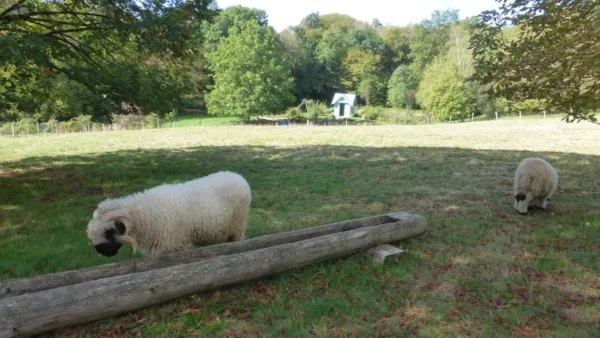 Sortie à NANCRAY le 13 septembre 2026